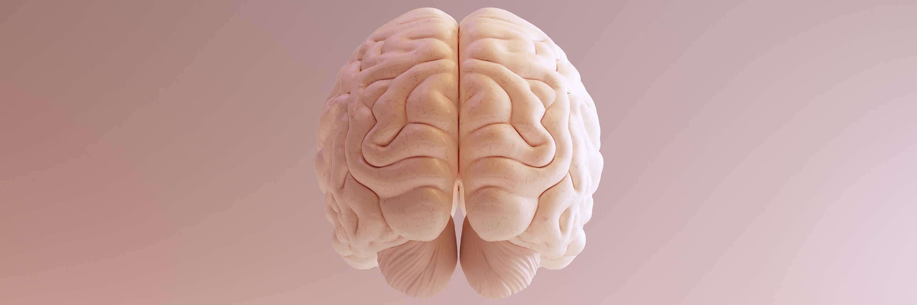 brain-img-meno.jpg