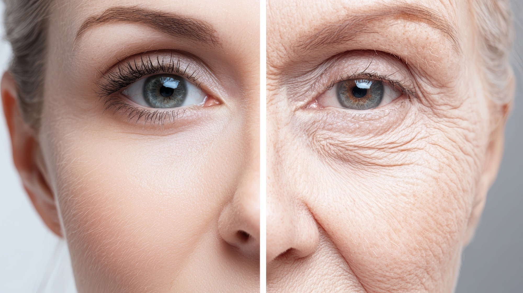 Collagen for skin, hair and nails