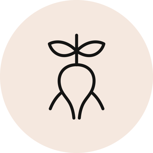 Ksm 66® Ashwaganda icon
