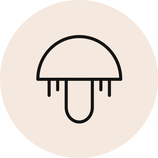 Lions Mane Mushroom icon