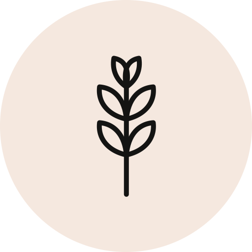 Vitamin Bs icon