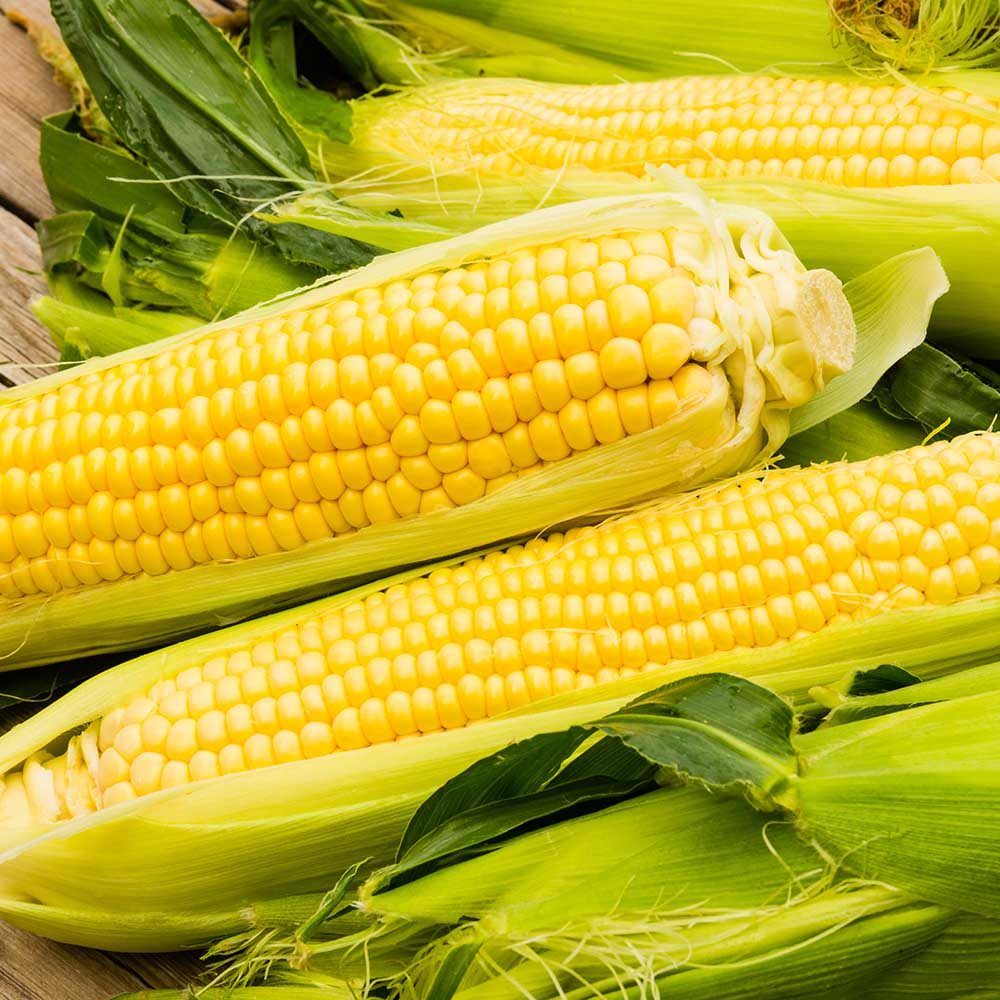 Essential Amino Acid