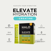 HALO Elevate Hydration Creatine supplement packaging with text on a white background