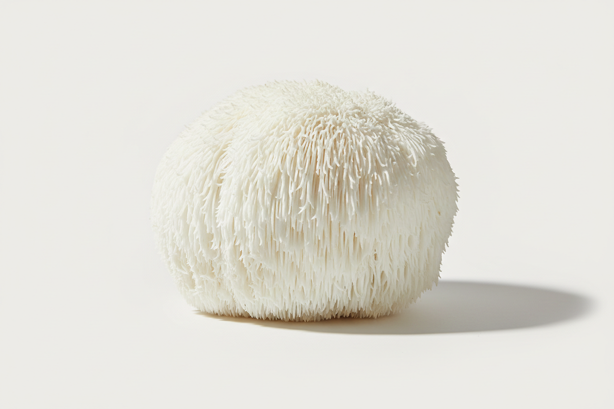Lions mane mushroom